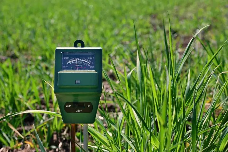 Understanding Lawn pH