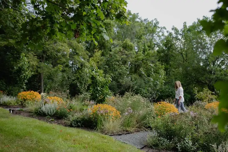 Orchard Meadow