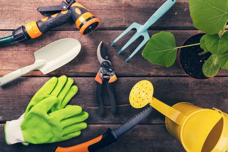 Neglecting Garden Tools