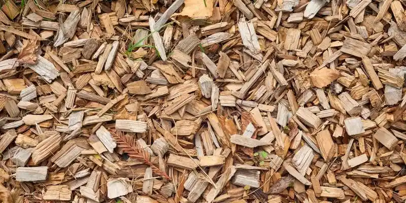 Using Fresh Wood Chips