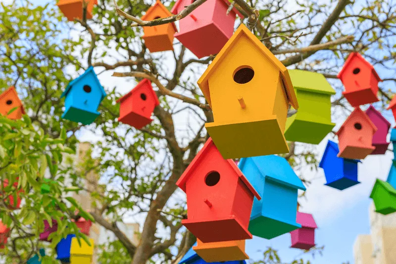Adding Too Many Birdhouses