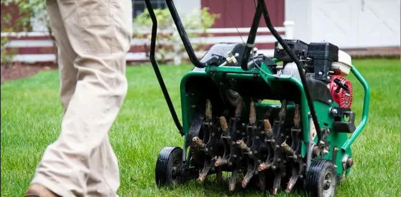 Skipping Lawn Aeration