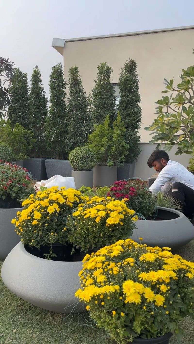 Oversized Flower Pots