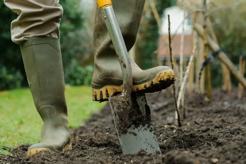Underperforming Soil