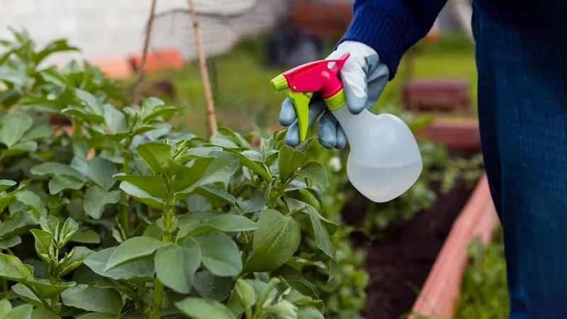 Using Chemical Pesticides Unnecessarily