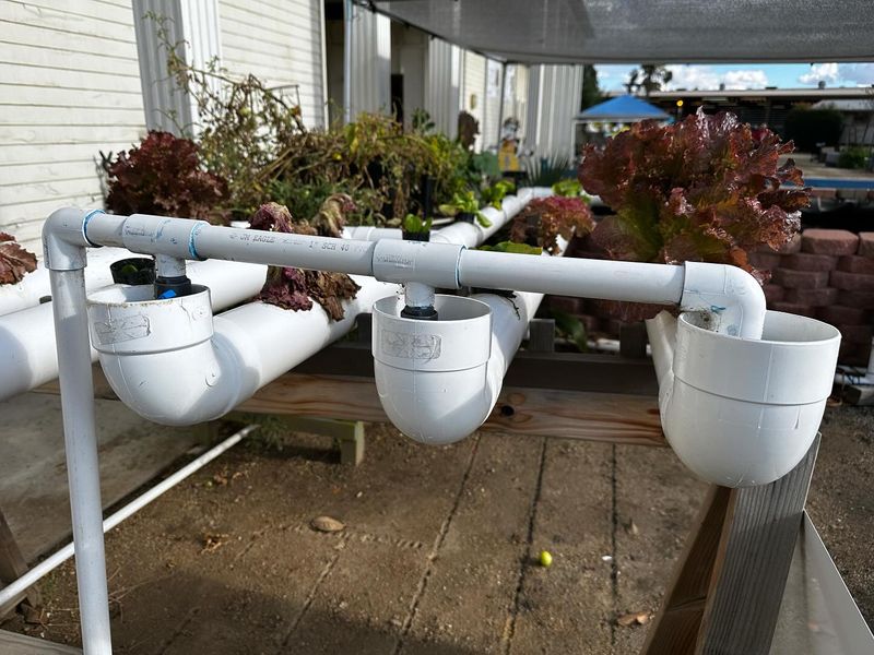 PVC Pipe Planters