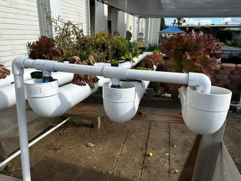 PVC Pipe Planters