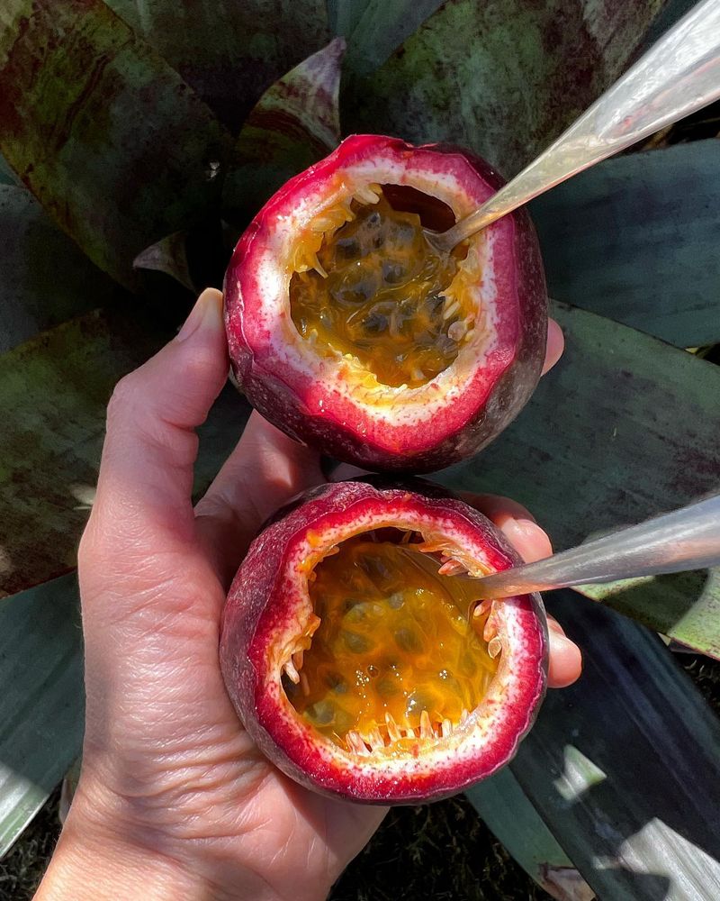 Passion Fruit