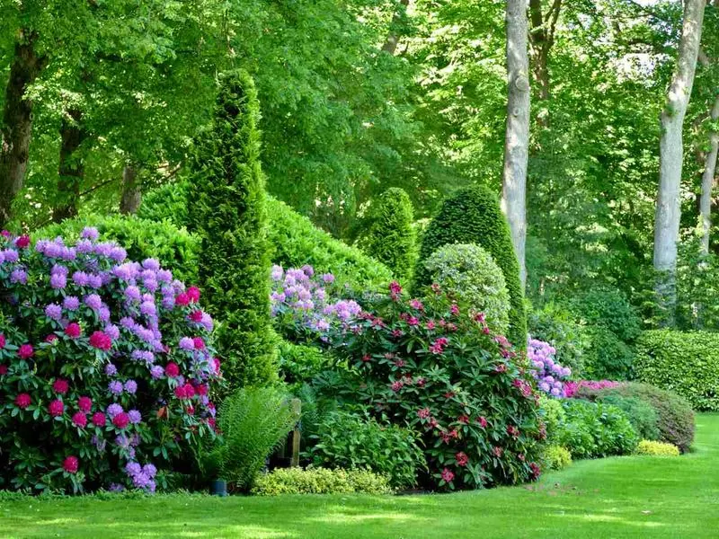 Mixed Border Gardens