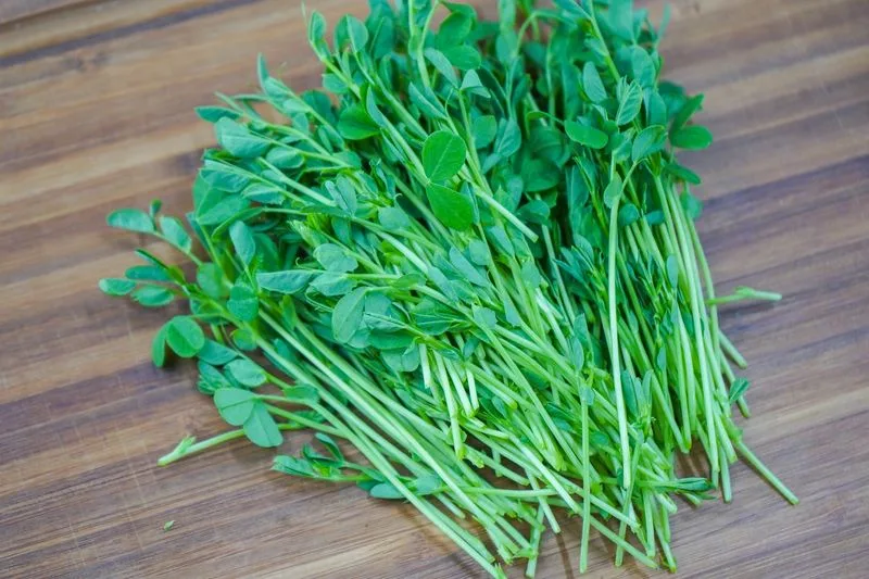 Pea Shoots