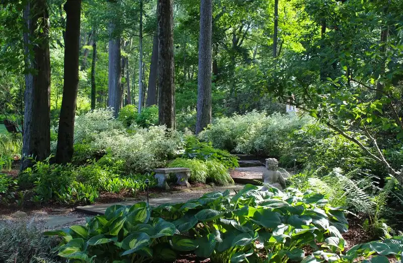 Peaceful Greens