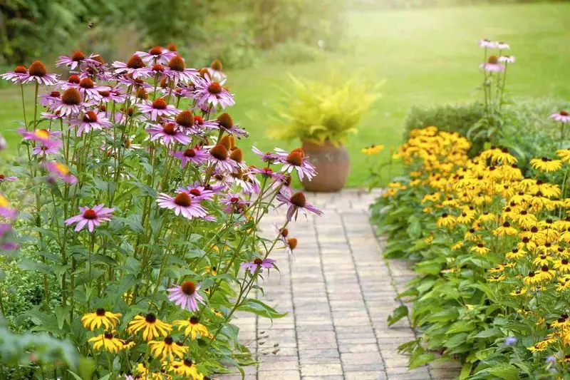 Perennial Planting