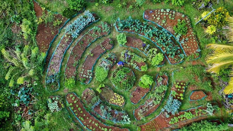 Permaculture Vegetable Garden