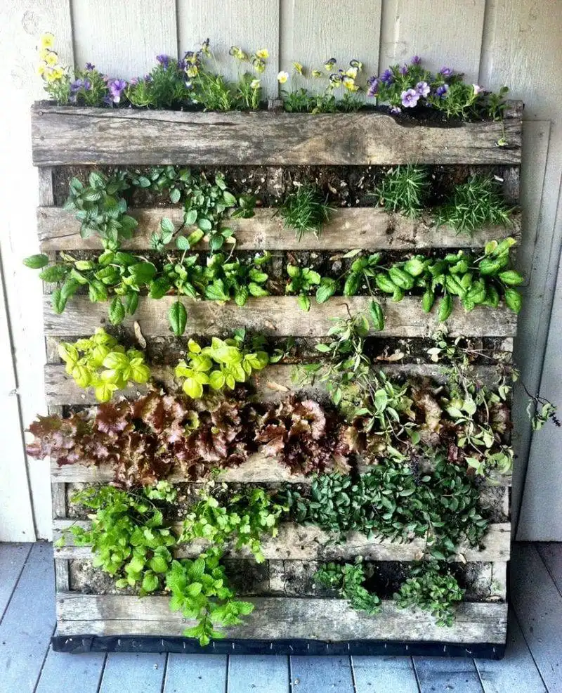 Vertical Gardens