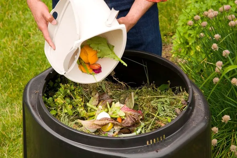Compost Management