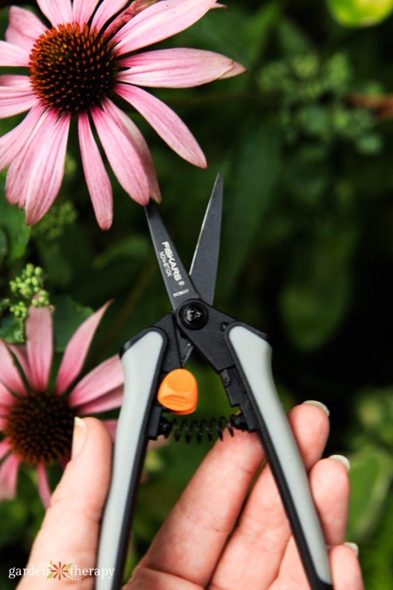 Pruning for Health