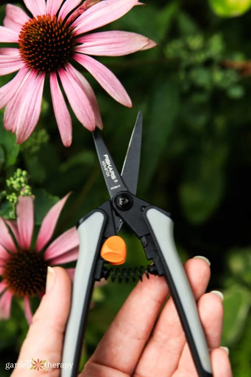 Pruning for Health