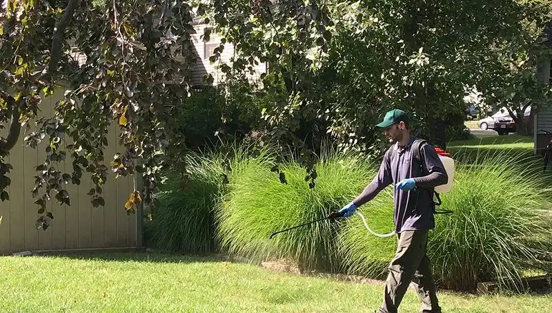 Pest Control Sprays
