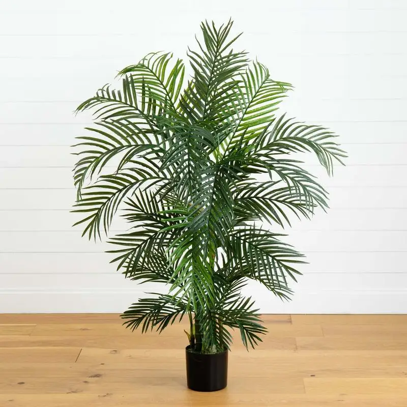 Pet-Safe Alternative: Areca Palm