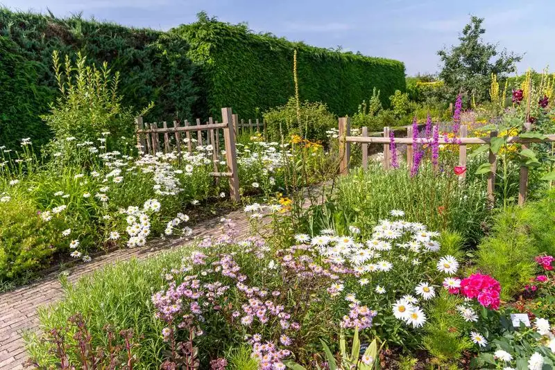 Plan a Planting Design