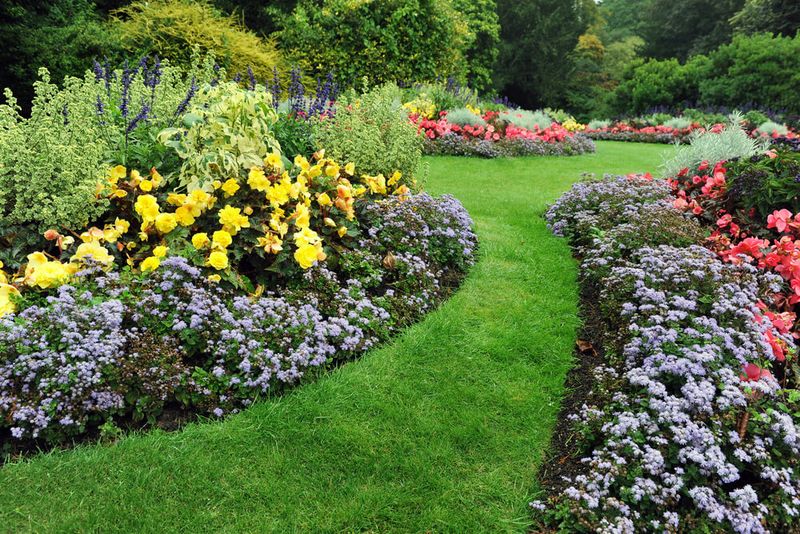 Plant Grouping by Water Needs