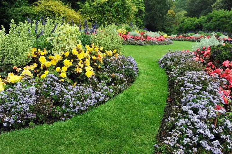 Plant Grouping by Water Needs