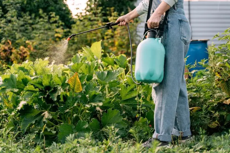 Using Pesticides Indiscriminately