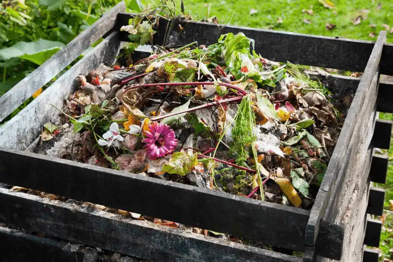 Setting Up Compost Bins