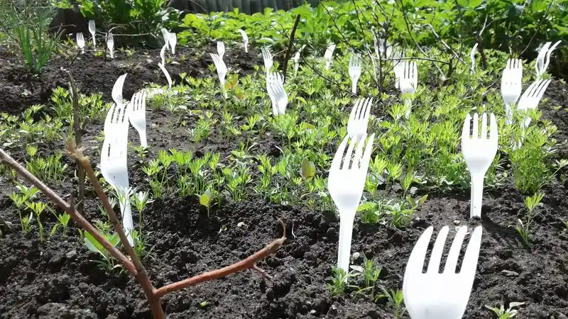 Plastic Forks for Pest Control