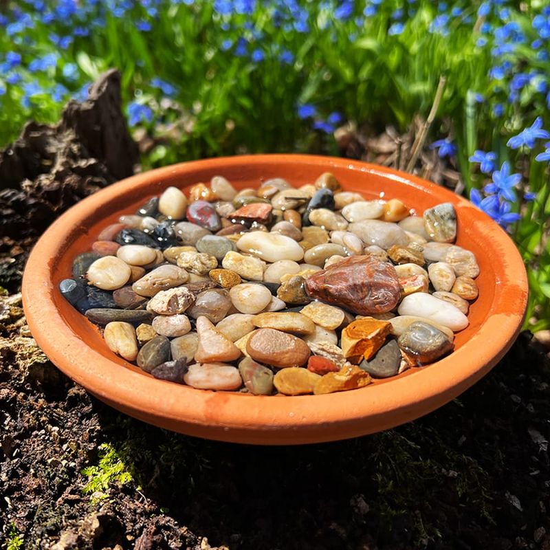 Pollinator-Friendly Tub