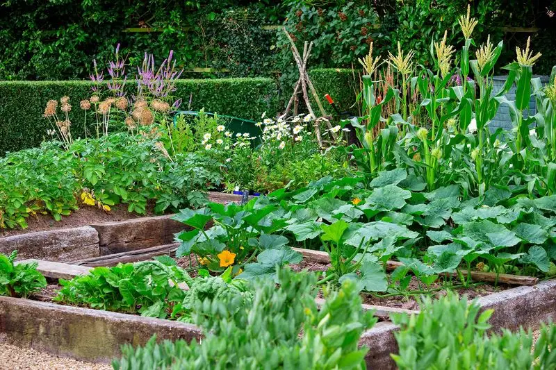 Potager Garden