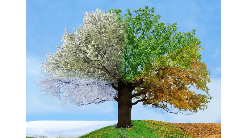Preparing for Seasonal Changes