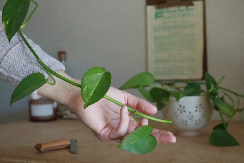 Propagation Methods