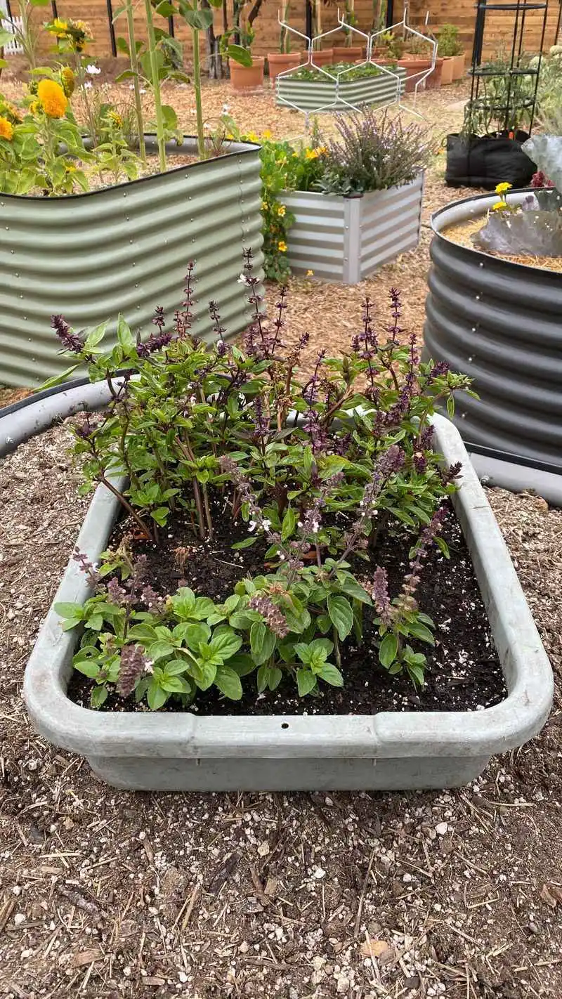Propagation Possibilities