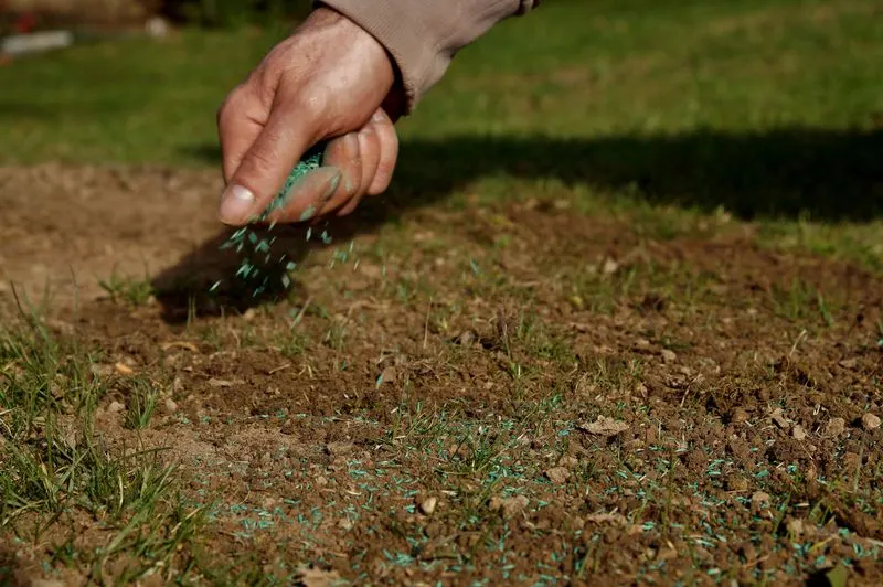 Proper Lawn Reseeding