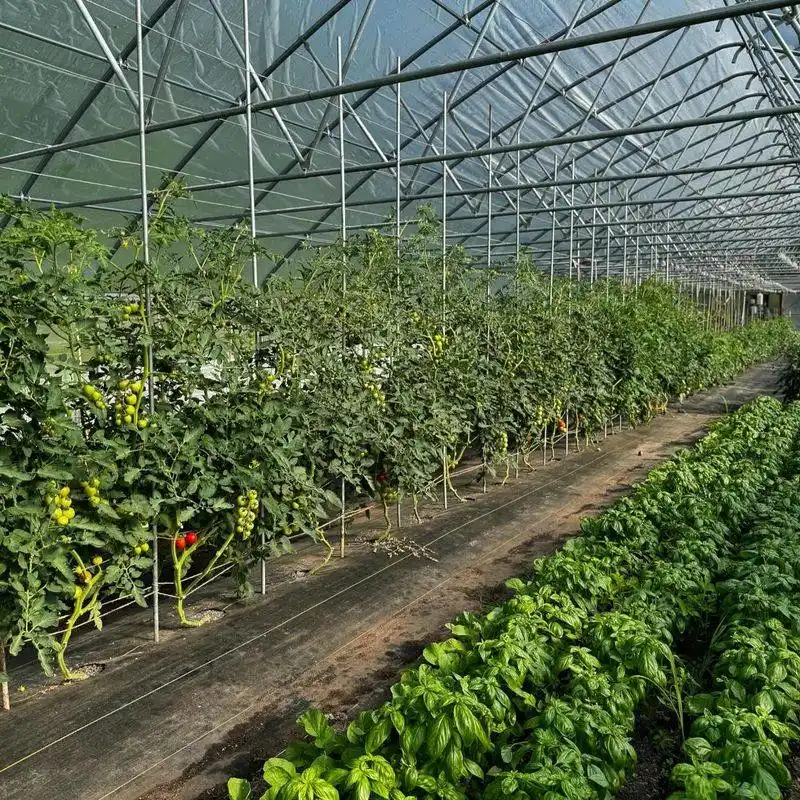 Protect from Pests Naturally