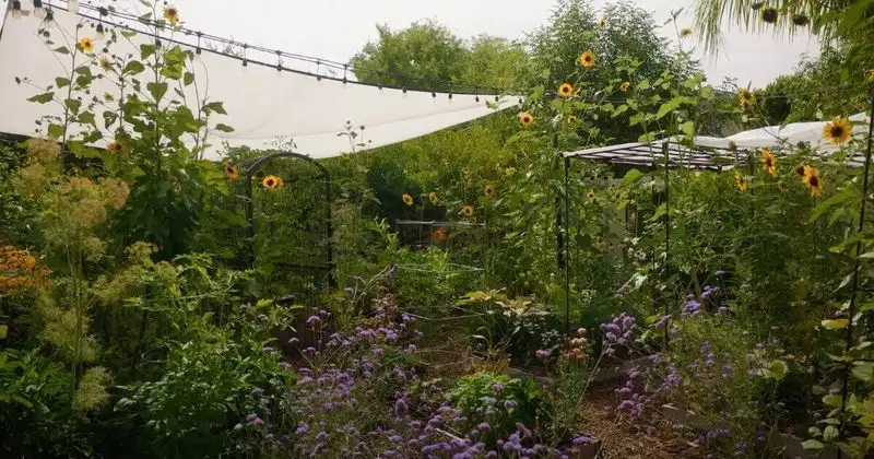 Protect with Shade Cloth