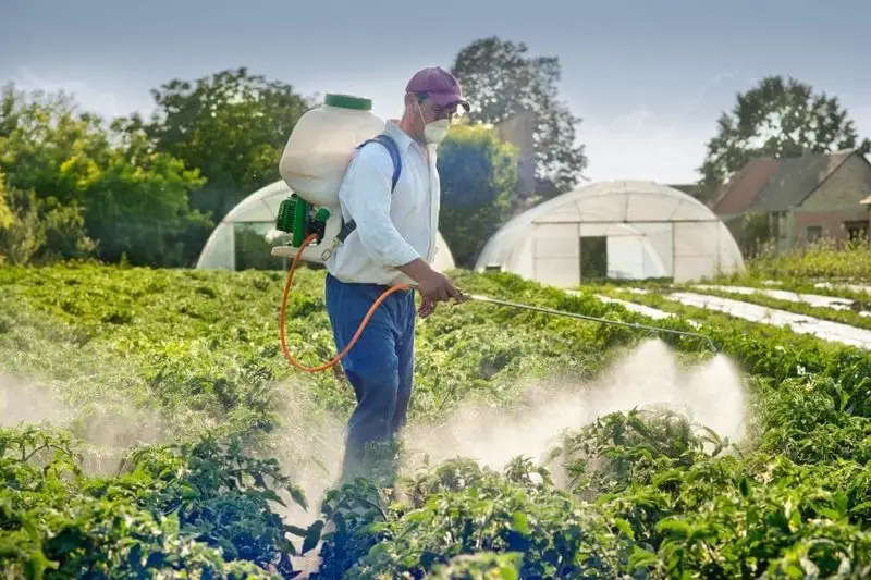 Protecting Against Pests