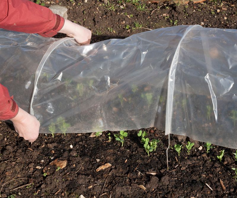 Use Temporary Greenhouses