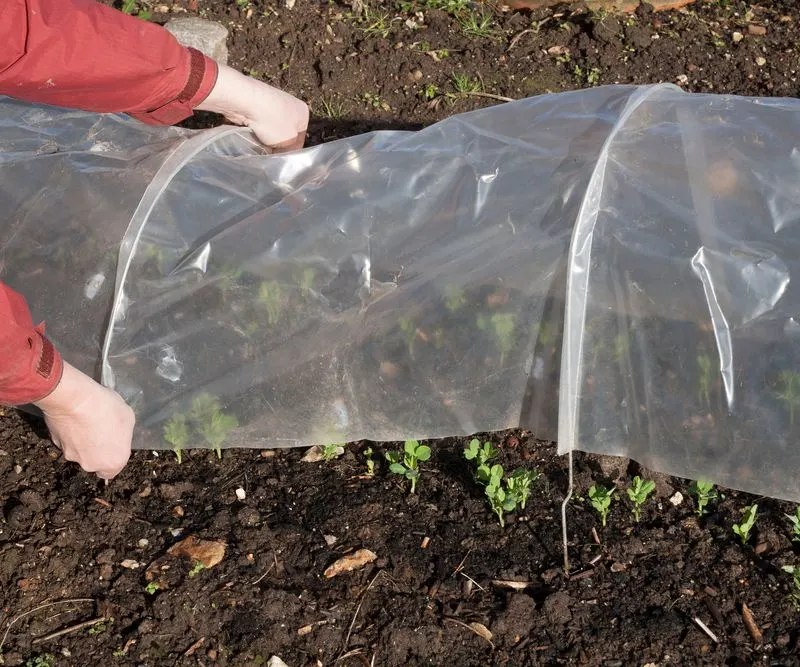 Use Temporary Greenhouses