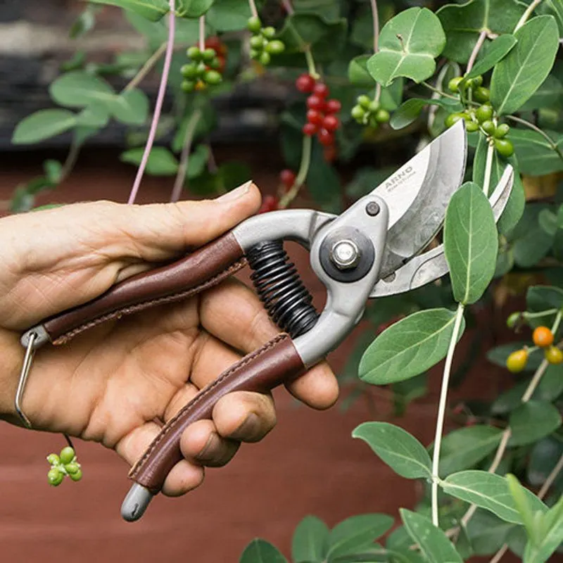 Pruning Shears