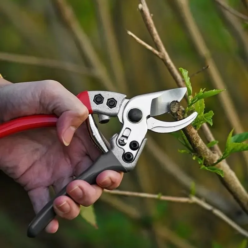 Pruning Shears