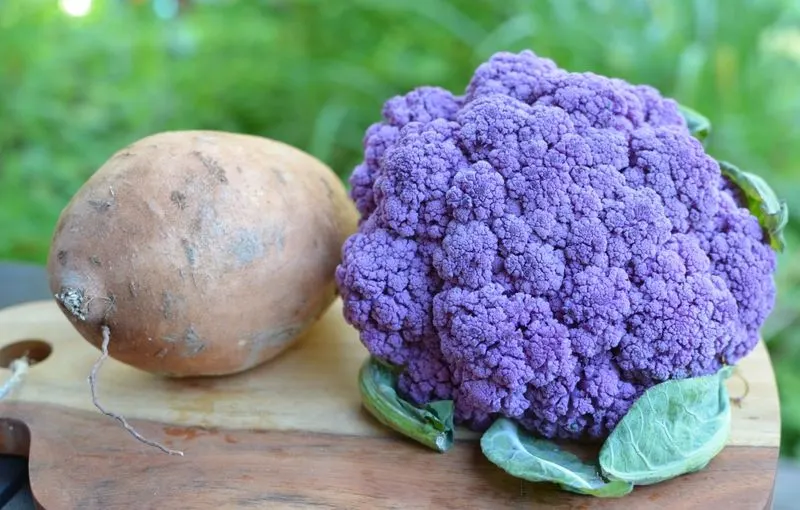 Purple Cauliflower