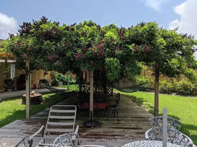 Unsupported Pergola
