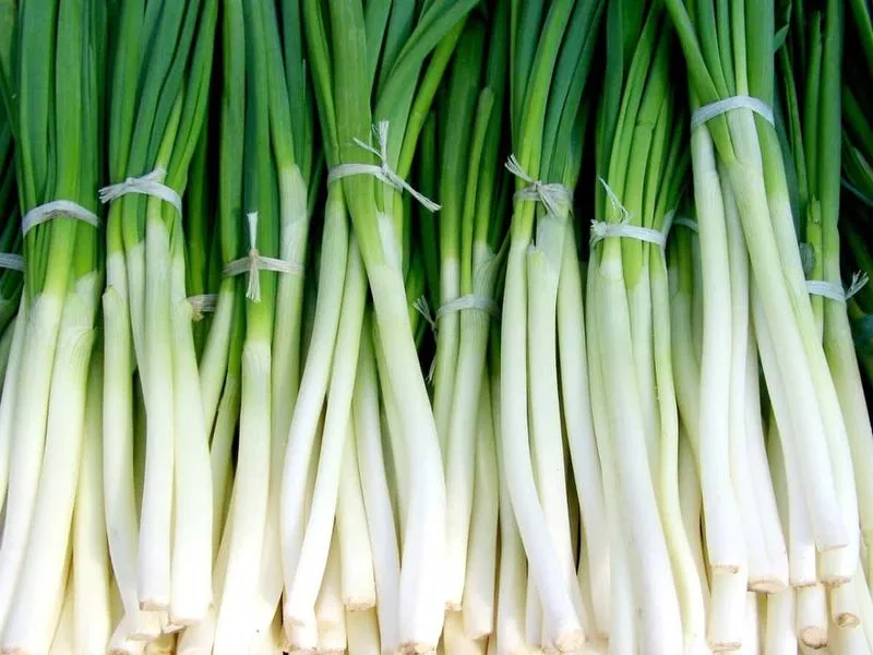 Scallions