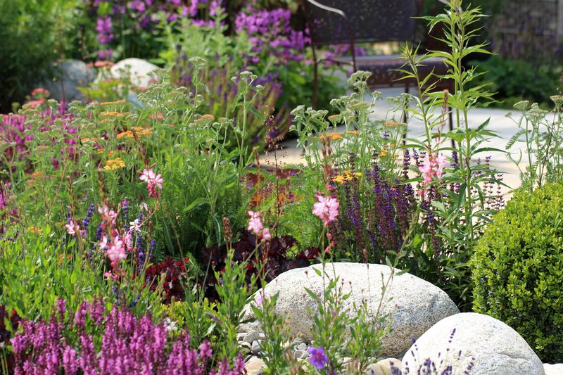 Rain Garden Oasis