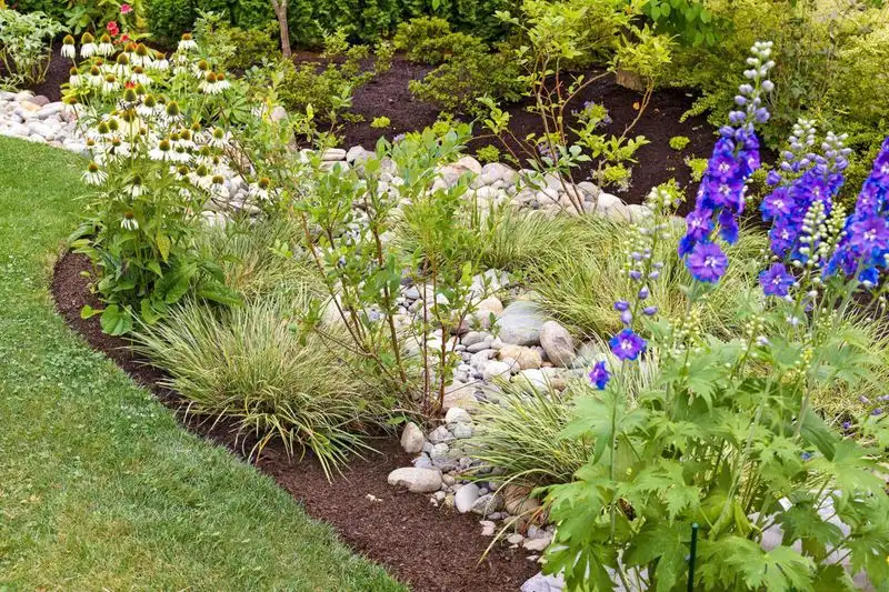 Rain Gardens