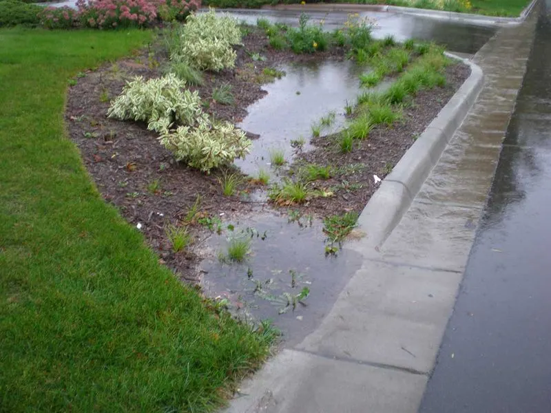 Rain Gardens