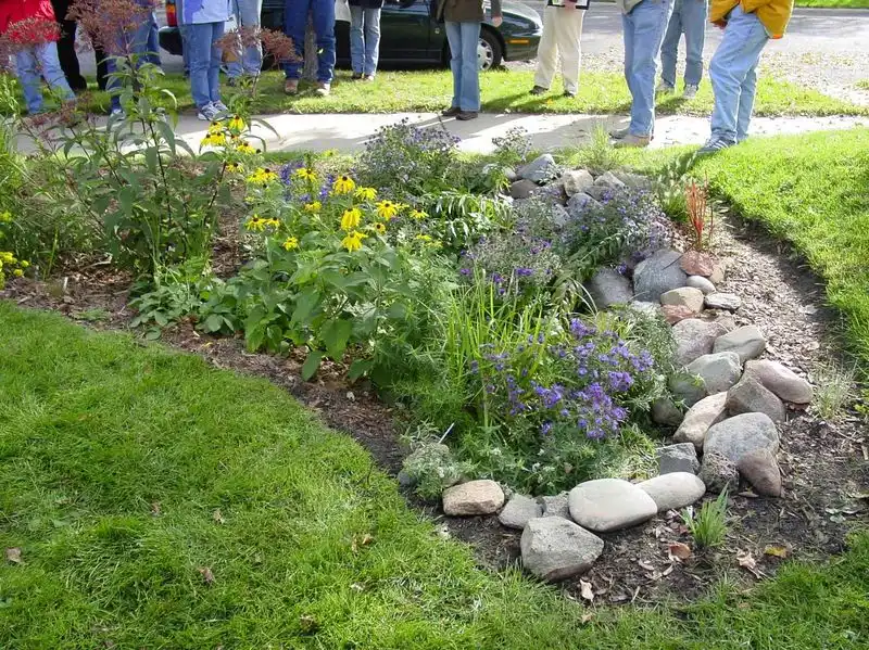 Rain Gardens