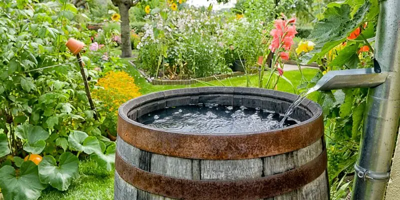 Rainwater Harvesting